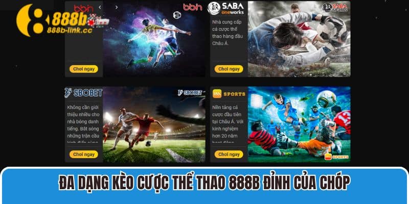Thể Thao 888B 1 Đa dạng kèo cược Thể Thao 888B đỉnh của chóp