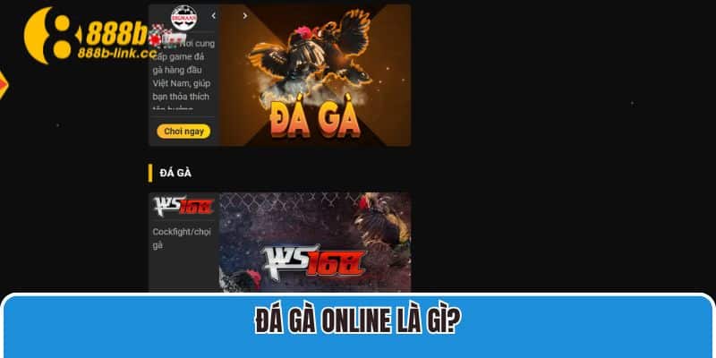 Đá Gà 888B 1 Đá gà online là gì?