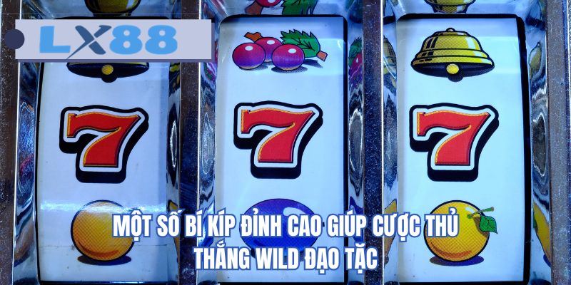 Một số bí kíp đỉnh cao giúp cược thủ thắng wild đạo tặc